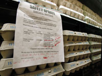 Food Recalls